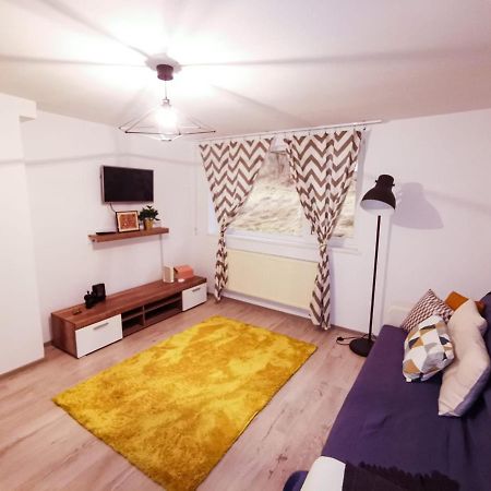 105500 Apartment Buşteni 外观 照片