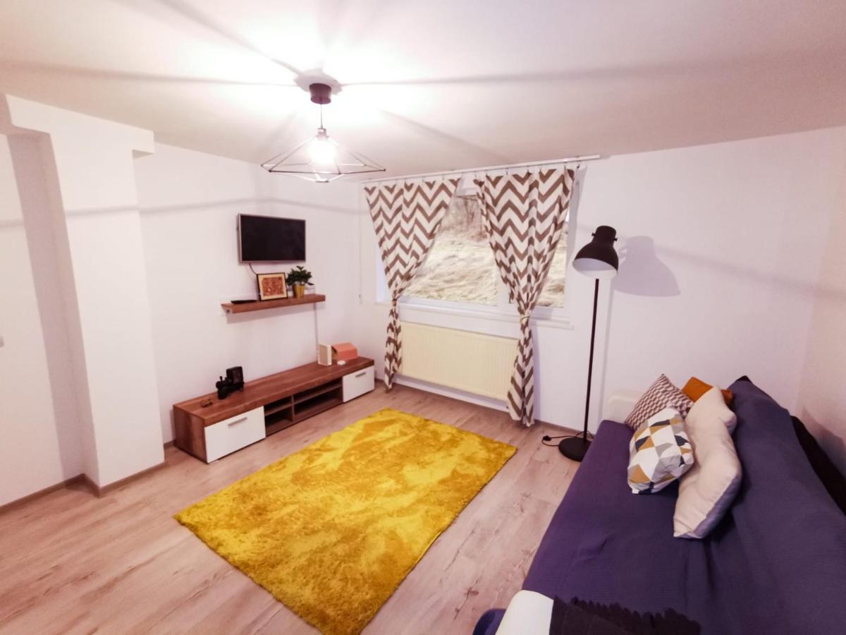 105500 Apartment Buşteni 外观 照片