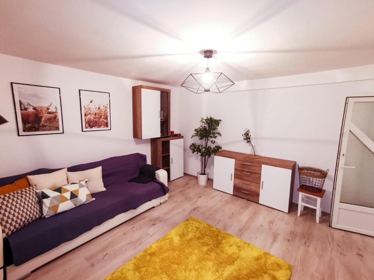 105500 Apartment Buşteni 外观 照片